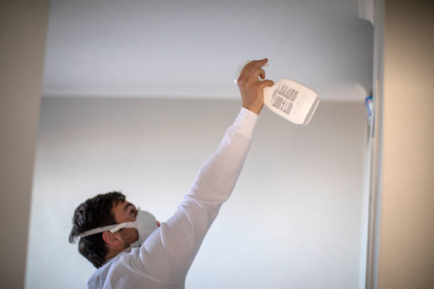 Best Mold Removal Near Me  in Kings Park West, VA