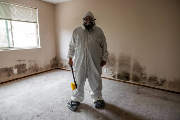Best Certified Mold Removal  in Kings Park West, VA